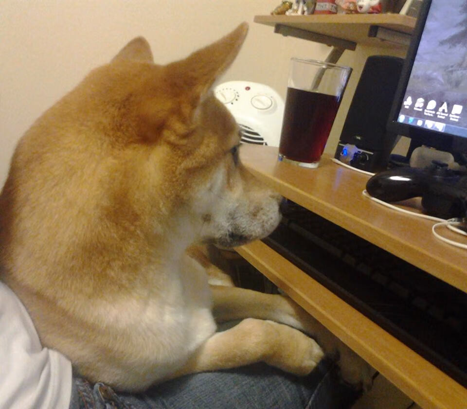 NBA传奇球星参加慈善赛，为抗击疫情贡献力量，nba慈善赛视频完整版