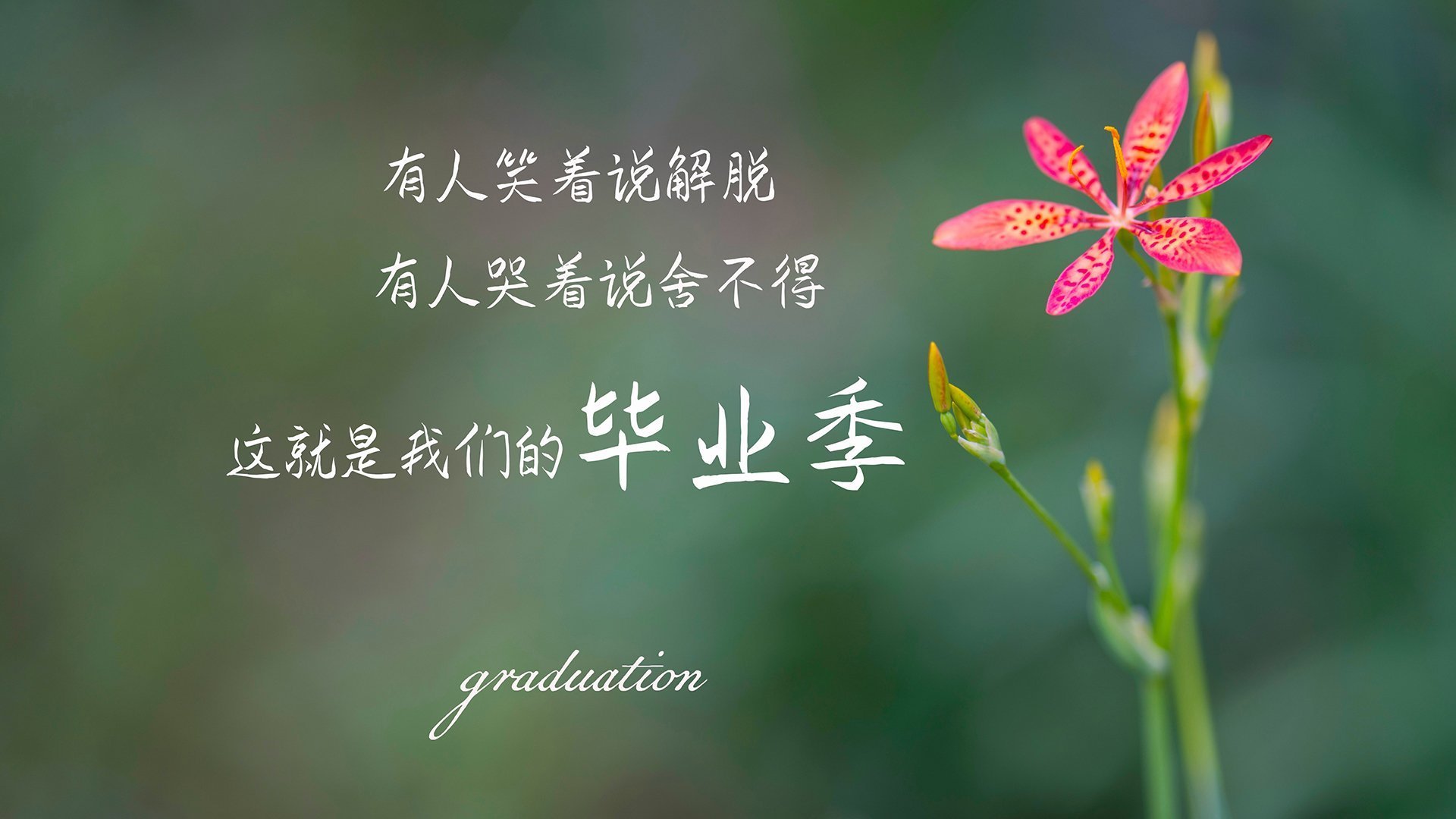 九游APP官网-NBA全明星赛前瞻：东西部队伍实力对比，nba全明星东西部怎么分