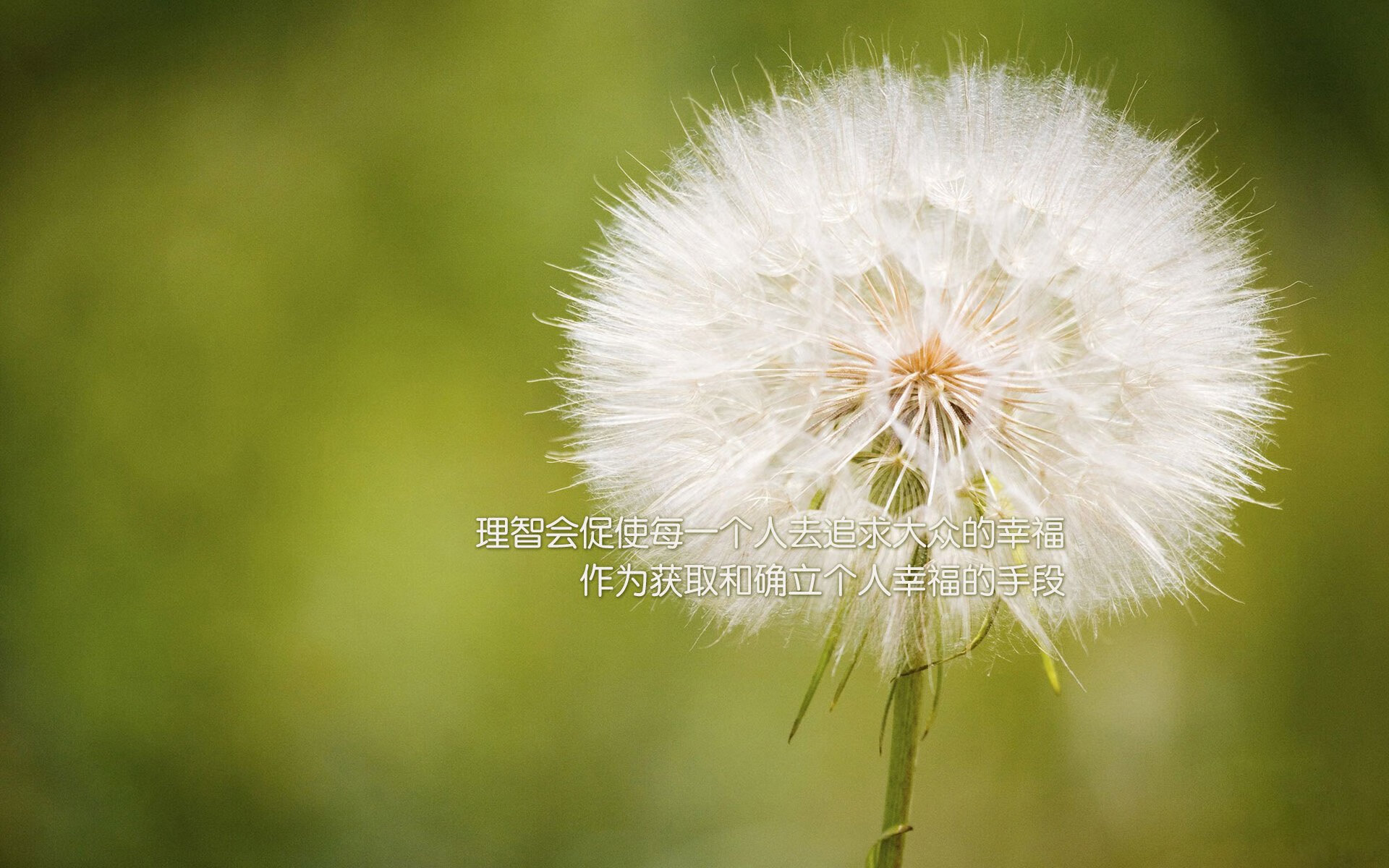 九游电脑版-伍德发力火箭战胜森林狼