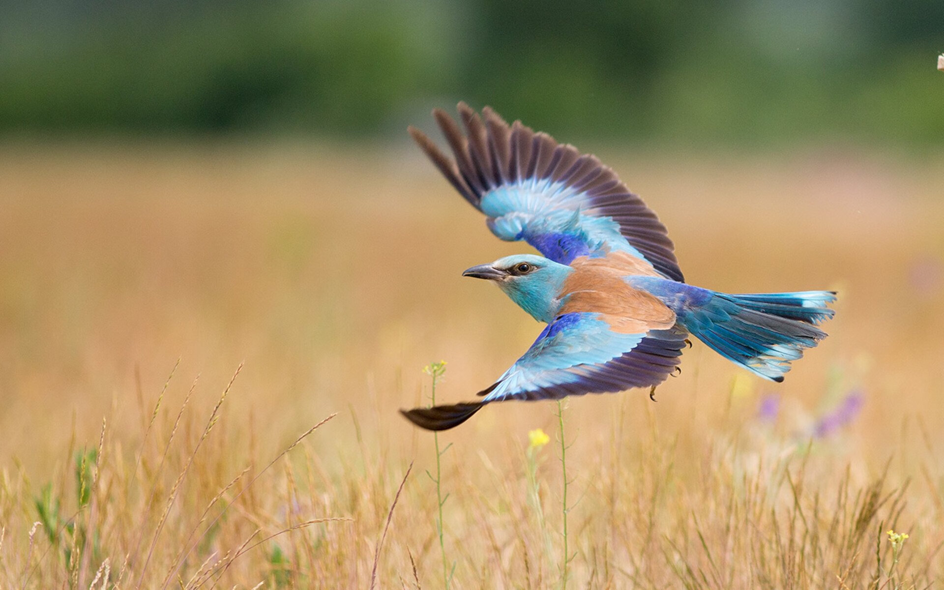 JiuyouAPP下载-堡垒之夜平衡性调整公布，堡垒之夜效果