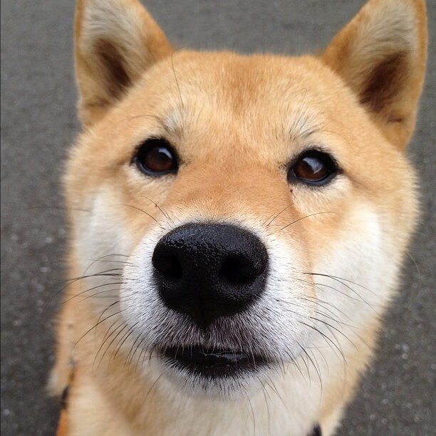 堡垒之夜引入创意工坊升级版,堡垒之夜制作组