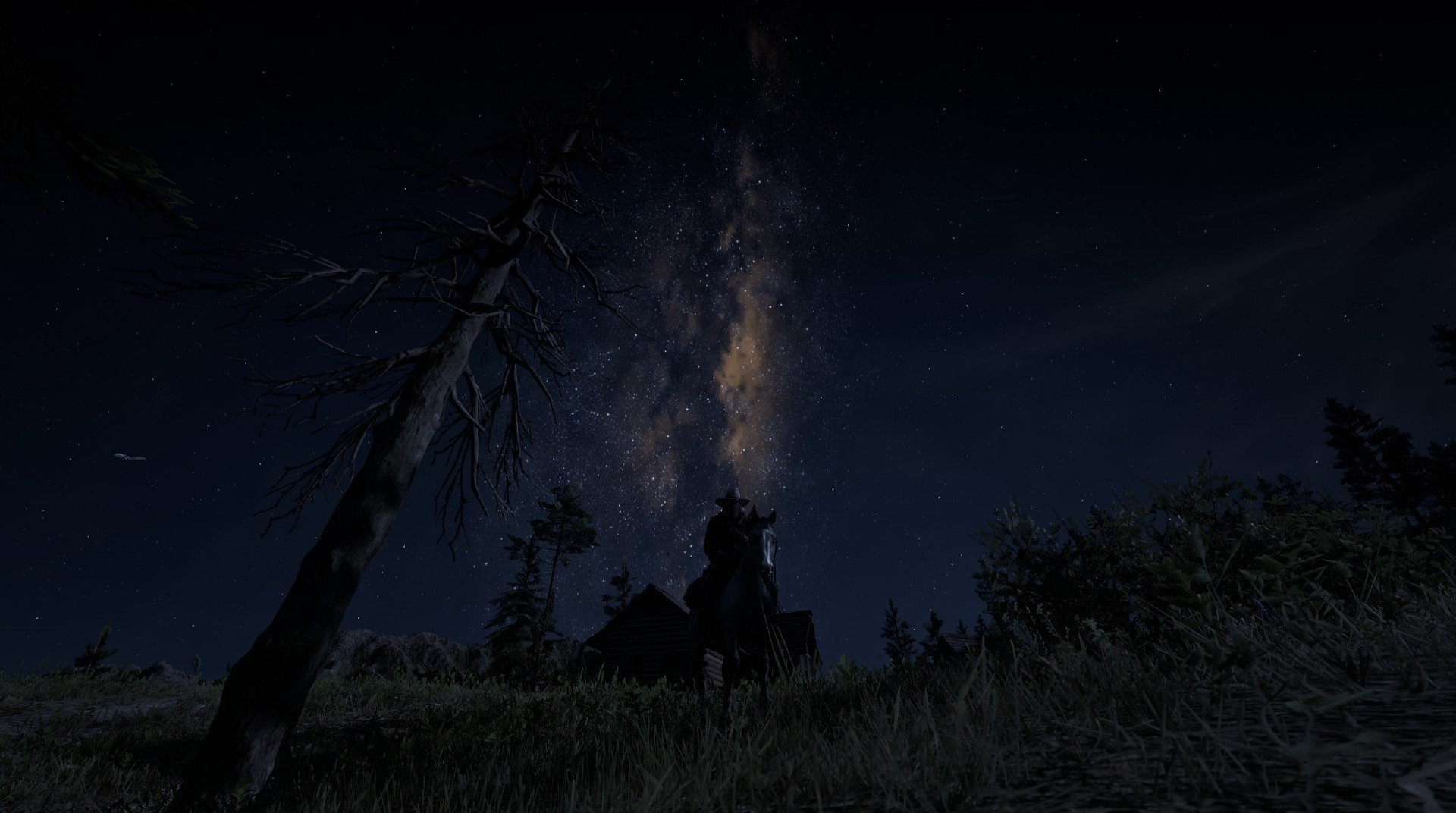 九游网页版官网-巴西马术协会与大学合作，开展马术运动营养研究，优化饮食方案。