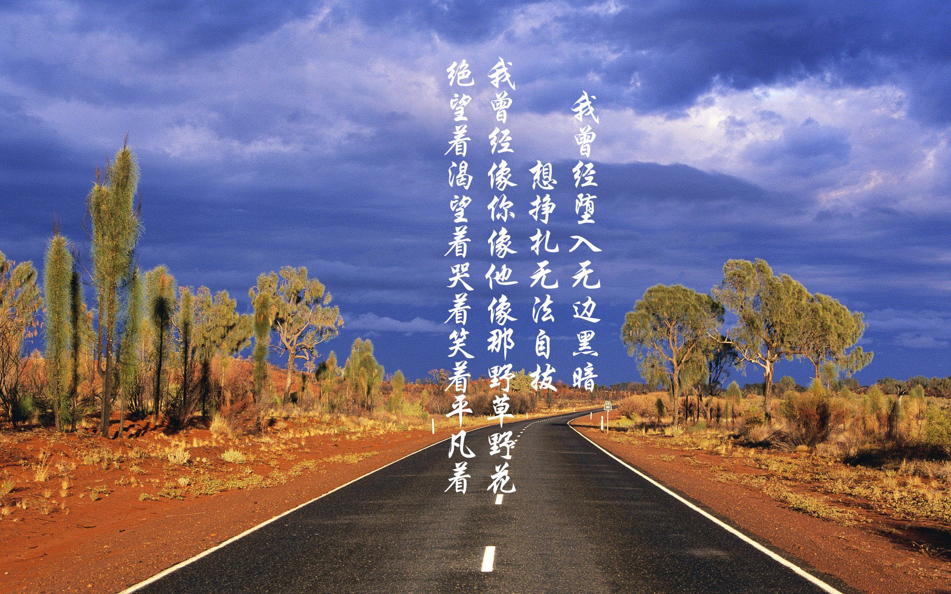 悉尼国王篮板球争夺激烈,悉尼国王队实力强吗