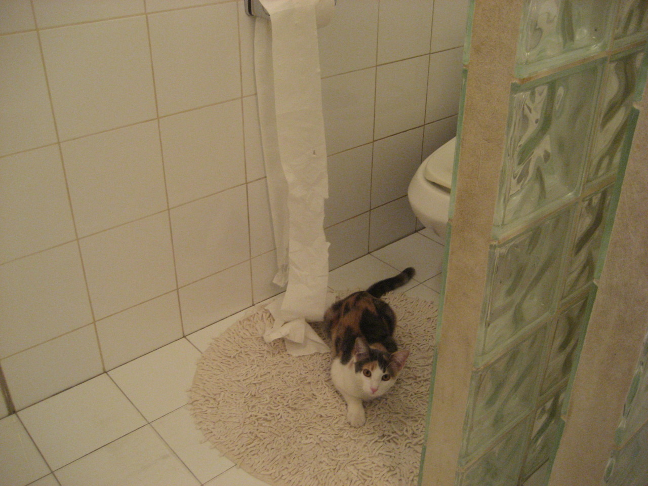 九游游戏中心官网-沃尔夫斯堡狼队独领风骚，壮志豪情再续辉煌，沃尔夫斯堡最新阵容