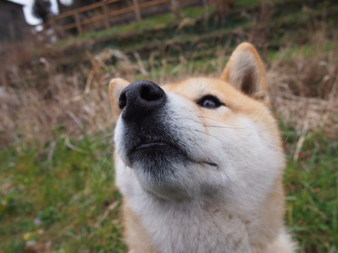 九游官网pc-都灵遭受惨痛失利，劲敌斩获胜利迅速超越，都灵ds