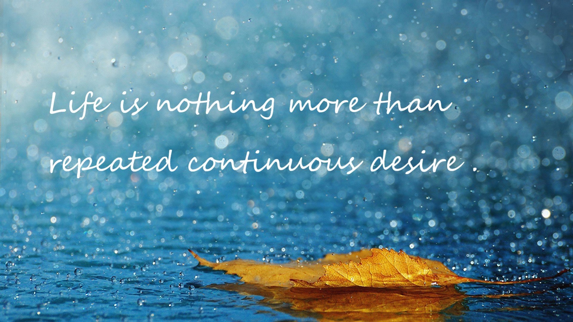 里尔再胜巴黎联合,稳固领先位置,里尔vs巴黎圣日耳曼分析