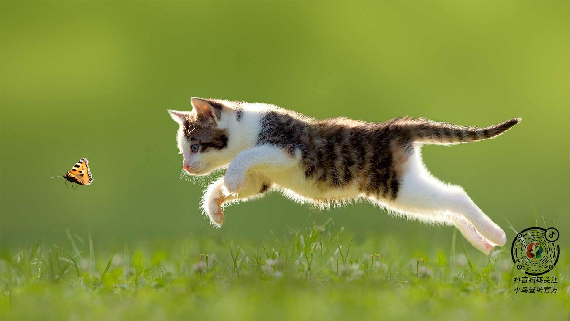 九游官网pc-里尔客场战平里昂，延续不败纪录，里尔对里昂的比赛分析