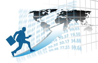 JIU YOU GAME-中国篮球职业联赛赛事运营风险评估与管理对策，篮球赛事安全风险