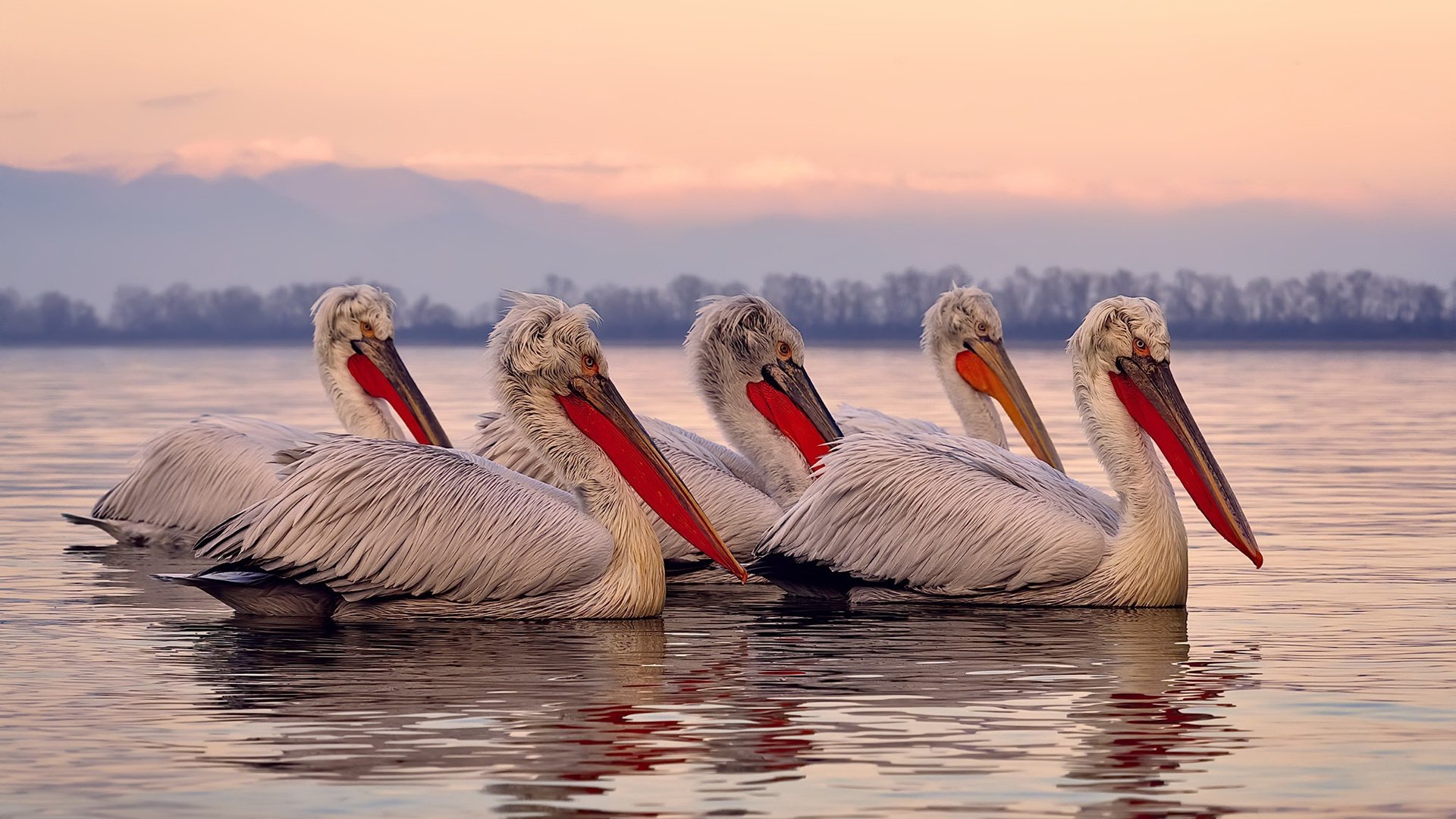 英超比赛中关键传球线路与身体对抗强度的分布模式分析，英超长传