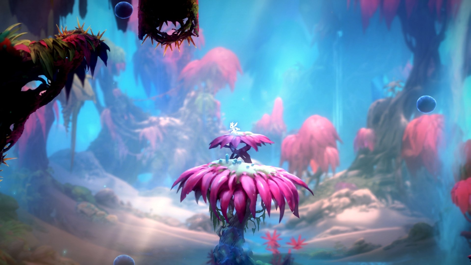 九游app下载中心-“武汉马拉松赛：选手的拼搏，让赛道见证奇迹”